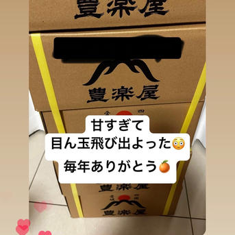 最高級】真穴（まあな）産地直送 極上みかん S〜Lサイズ 10キロ 贈答