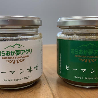 「無添加・自社製麹」ピーマン味噌150g×3個（瓶詰）【アウルの日】【飲食店向け】【5周年限定】 150g×3個 加工品/その他加工品通販