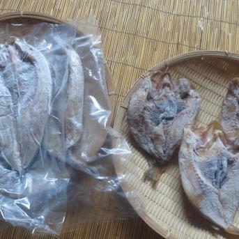 函館産　【天然】柳の舞3枚　真ホッケ３枚　の天日干し 柳の舞3枚　真ホッケ３枚 魚介類/魚介セット・詰め合わせ通販