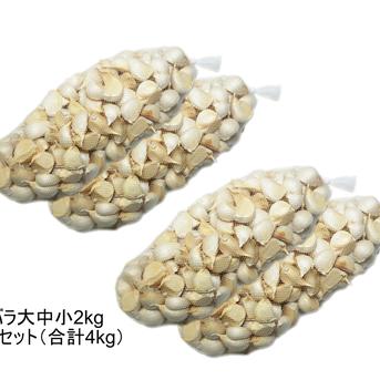 青森県田子町産 にんにく Mサイズ 100球 食品