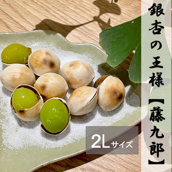 祖父江　銀杏　2Lサイズ　10kg  訳あり品 見つけたらラッキー！大特価!】祖父江産 銀杏〈藤九郎〉中玉2Lサイズ