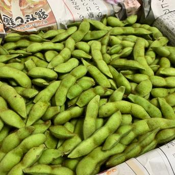 【自然栽培】枝豆 早生黒豆 たんくろう★農薬・肥料不使用｜黒大豆えだまめ サヤのみ１kg 野菜/枝豆通販