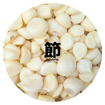 剥きにんにく 【青森県産】福地ホワイト500g 産直野菜 500g 野菜/にんにく通販