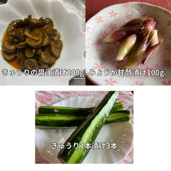 漬物3点セット　きゅうりの醤油漬け200g・みょうがの甘酢漬け100g・きゅうり1漬け3本　群馬県東吾妻町産 きゅうりの醤油漬け200g・みょうがの甘酢漬け100g・きゅうり1漬け3本 加工品/漬物通販