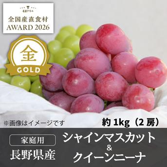 家庭用クイーンニーナ&シャインマスカット約1kg（2房）／本気農場