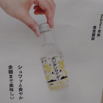 ボンタンサイダー6本入り 200ml×6本 飲料/その他飲料通販