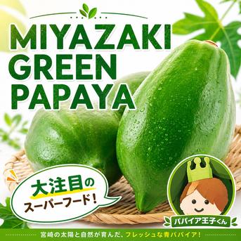 PAPA CHA 9種お試しティーセット／青パパイヤの酵素茶 × ブレンド茶