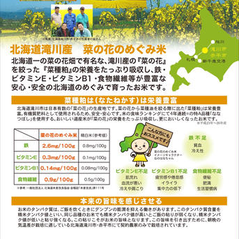 新米/生産者限定/北海道産菜の花めぐみ米5kg 5kg 米・穀物/米/精米通販