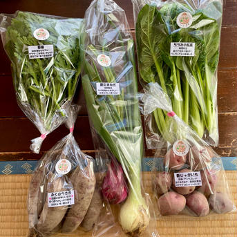 濃甘！野菜セット5種類×2倍量 農薬・化学肥料不使用♪個包装 5種類×各2袋 野菜/野菜セット・詰め合わせ通販