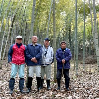 2026年産】旬の天然タケノコ2kg（富山県氷見産）栽培期間中、農薬