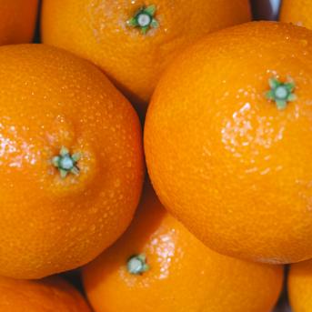 ゼリーのようなプルプル食感】まどんな 3kg×2箱【家庭用】媛果まどんな