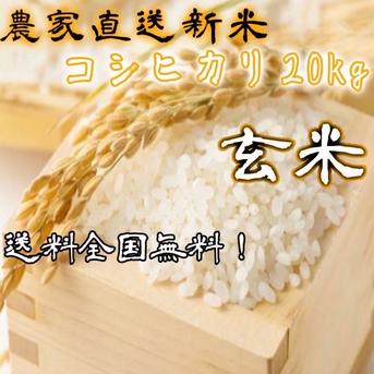 農家直送　コシヒカリ　20キロ　玄米 数量限定！出来立て農家直送新米 コシヒカリ玄米！約20キロ