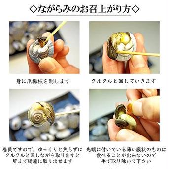 手掘り　小粒活ながらみ4キロ 活ながらみ　４キロ 魚介類/その他魚介通販