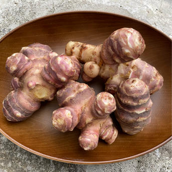 自然農法　無農薬　菊芋種芋(予約販売)100kg 11月から3月まで随時販売 自然農法 無農薬 菊芋種芋(予約販売)100kg 11月から3月まで随時販売