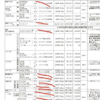 たっぷり2キロクール便先行予約❗️葉取らず減農薬栽培　佐藤錦さくらんぼ 2キロ 果物/さくらんぼ通販