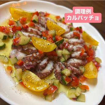 瀬戸内海産・産地直送『まだこ』 1.5〜1.7kg(内臓処理前の重量です。） 魚介類/タコ通販