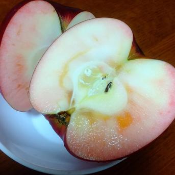 【訳あり】減農薬炎舞 5kgx1箱 果物/りんご通販