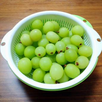 甘くてジューシー！シャインマスカット 粒サイズ不揃い お得な1.5kg