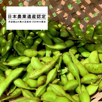 '23年丹波篠山黒枝豆の解禁期さや2.4kg  10月9日(月)〜10月15日(日)順次発送 さや600g×4袋=2.4kg 野菜/枝豆通販