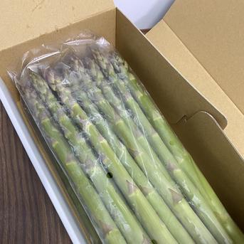 春芽グリーンアスパラガス  太 1.2kg 野菜/アスパラガス通販