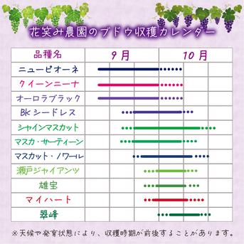 S-JWN　花笑み農園　シャインと加工品セット（ピオーネジャム&ワイン＆飲む酢） シャインマスカット1房＋3本セット（ジャム、ワイン、飲む酢　各1本） 加工品/加工品セット・詰め合わせ通販