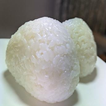 新米】令和8年度産コシヒカリ10kg ｜ 米・穀物/米/精米 産直アウル