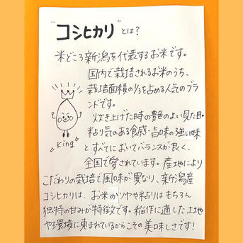【令和4年産】【新春価格】コシヒカリ　2キロ　【お試し】 2キロ 米・穀物/米/精米通販