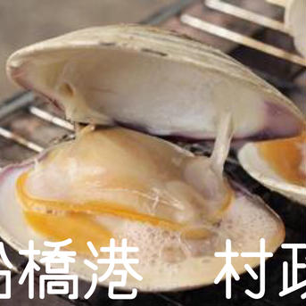 三番瀬ホンビノス貝 3kg 3kg 魚介類/ホンビノス通販
