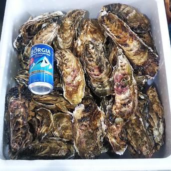 食品 真牡蠣15kg 専用ページ