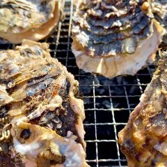 【お徳用】三陸直送！殻付き牡蠣加熱用50個 50個(6㎏位) 魚介類/牡蠣通販
