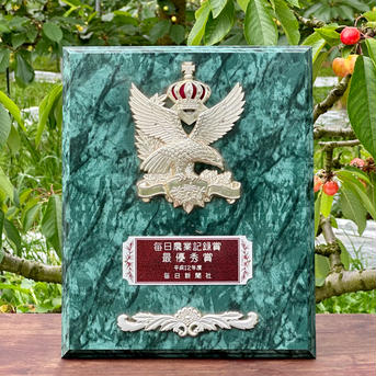 【大玉】山梨県産さくらんぼ（約300g／並べ／2～3Lサイズ／化粧箱） 300g 果物/さくらんぼ通販