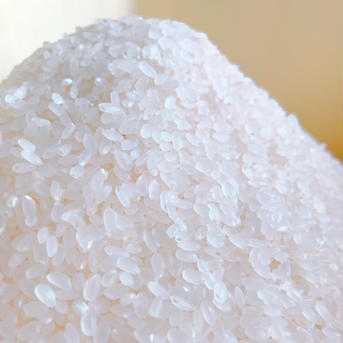 新米　極みノつや姫　2kg 山形県産　令和5年 つや姫2kg 米・穀物/米/精米通販