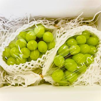 3️⃣ 山梨県産 シャインマスカット 10房入り箱込み4.7キロ