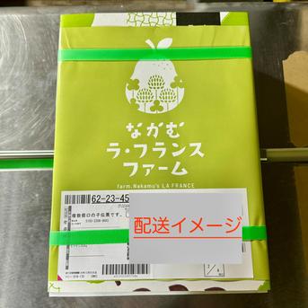 2箱セット】ラ・フランス 3L 約2kg 特秀 6玉入り ｜ 果物/梨 産直