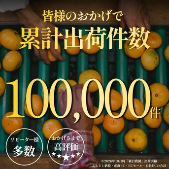大玉サイズ限定】五代目が厳選した愛媛みかん 10kg ｜ 果物/温州みかん