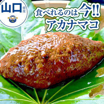 素潜り漁師直送！！今が旬『赤ナマコ』 2kg ｜ 魚介類/ナマコ 産直