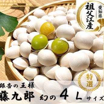 数量限定】祖父江銀杏 藤九郎特大大粒4Lサイズ ｜ 野菜/その他野菜