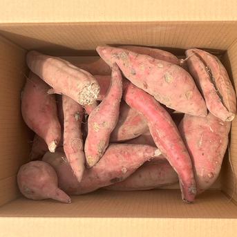 訳アリ！『紅はるか』20㎏ | 野菜/さつまいも 産直アウル 農家から直接