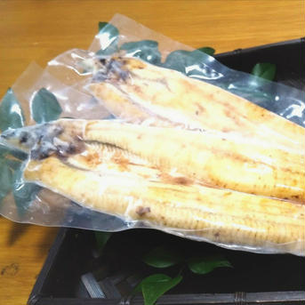 【訳あり】高知県産鰻小ぶり900ｇ以上　白焼き91～99ｇ×10匹有頭　蒲焼きのタレ10袋付　おまけ70～90ｇ2尾付き 　鰻の白焼き91～99ｇ10尾　おまけ70～90ｇ2尾　蒲焼きのタレ10袋付 魚介類/魚介の加工品通販