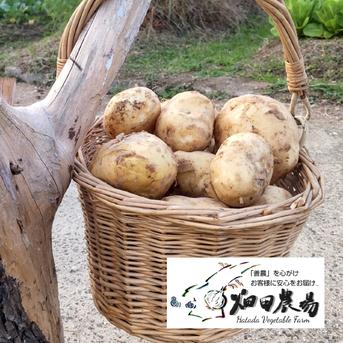 ＜自然栽培＞ 淡路島産 皮ごと安心「じゃがいも」 3kg【2022年SDGsエバンジェリスト認定取得】 3kg 野菜/じゃがいも通販