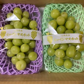 【美味しいところ】シャインマスカット粒詰め合わせ 1.0kg 果物/ぶどう通販
