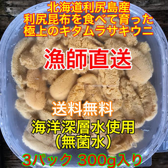 （実質送料無料）キタムラサキウニ（北海道利尻島産）3パック300g 3パック300g 魚介類/ウニ通販