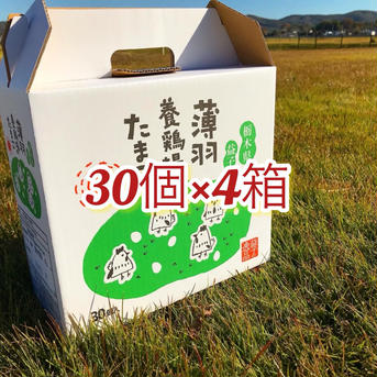 【枯草菌・赤たまご30個×4箱】枯草菌・赤卵120個 120個(10個入り紙パック12個) 卵/鶏卵通販