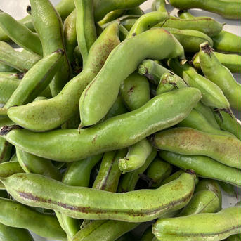 お任せ夏野菜セット（10種類前後） およそ3キロ（入る野菜によって変ります） 野菜/野菜セット・詰め合わせ通販
