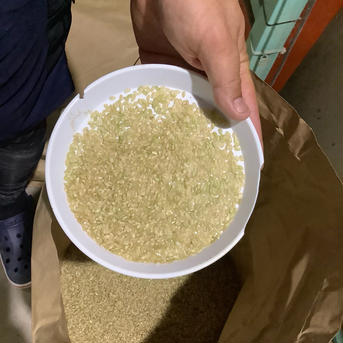 はなまる農園の令和7年度産新米虹のきらめき玄米30キロ 虹のきらめき玄米30キロ 米・穀物/玄米通販