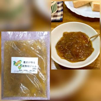 2袋農家が作る　梅ジャム 2袋で400g 果物/果物の加工品通販