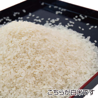 秋田県産あきたこまち 特別栽培米 ｜ 米・穀物/米/精米 産直アウル