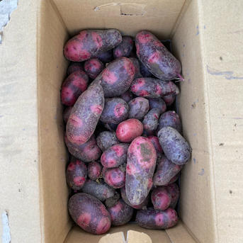 デストロイヤー2kg ｜ 野菜/じゃがいも 産直アウル 農家・漁師など生産