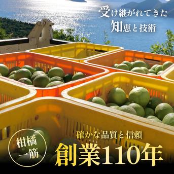 皮まで食べられる】グリーンレモン 10kg 防腐剤・ワックス不使用