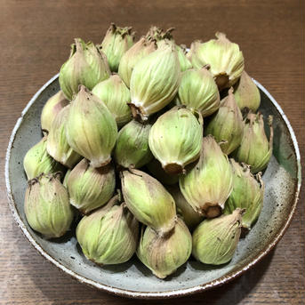 【予約特典10%増量！】ふきのとう『秋田ふき』2kg(約160~180個) 2kg(約160~180個) 野菜/山菜通販